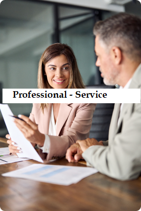 Professional Services